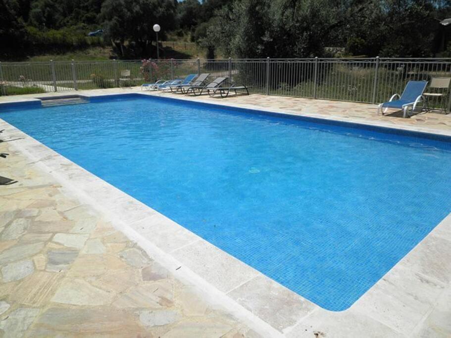 Maison Au Calme Avec Piscine Et Climatisation Sollacaro Екстер'єр фото